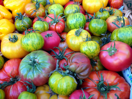 1658770 (a): :2560x1920